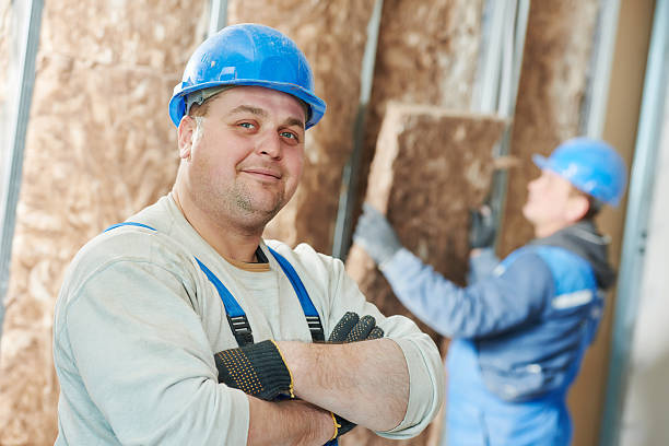 Best Insulation Maintenance and Repair in Ford Heights, IL